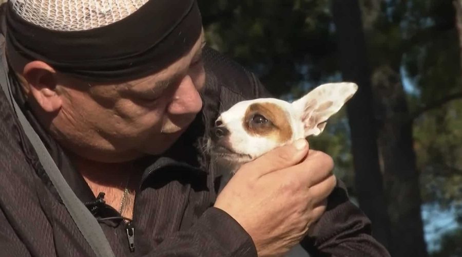 „Sein letzter Wunsch“ - Was dieser todkranke Mann für seinen Chihuahua tat, rührt alle zu Tränen